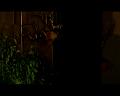 PDVD_1511