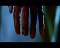 PDVD_1529