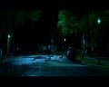 PDVD_1539