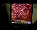 PDVD_1791