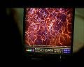PDVD_1792