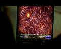 PDVD_1794