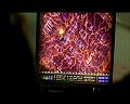 PDVD_1795
