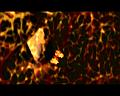 PDVD_1798