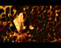 PDVD_1799