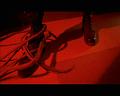 PDVD_531