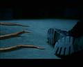 PDVD_552
