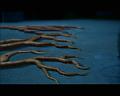 PDVD_556