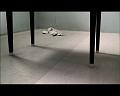 PDVD_578
