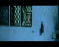 PDVD_586