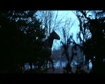 PDVD_1038.jpg