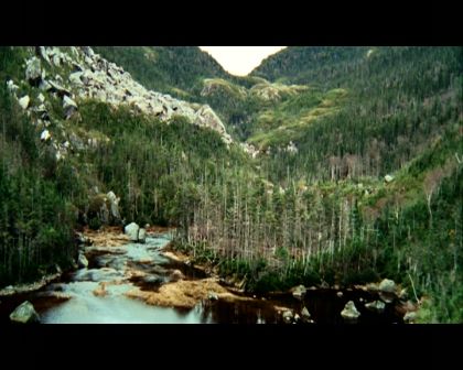 PDVD_140.jpg