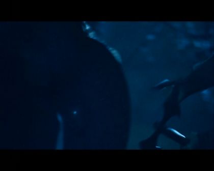 PDVD_1417.jpg