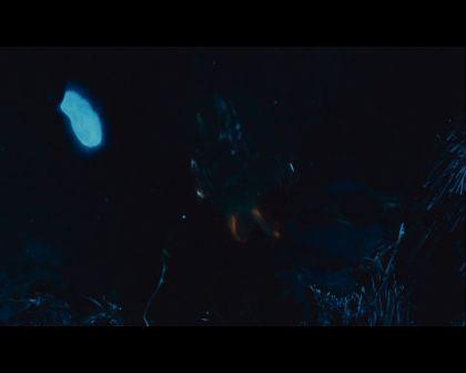 PDVD_1626.jpg