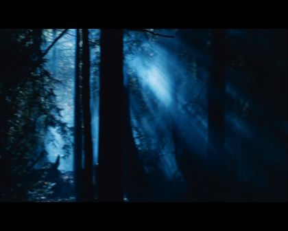 PDVD_1683.jpg
