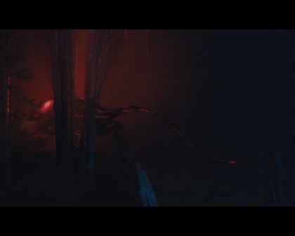 PDVD_1734.jpg