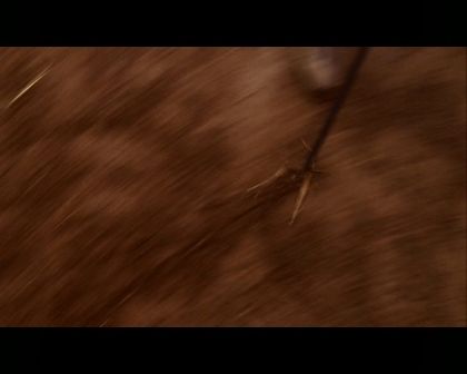 PDVD_1797.jpg