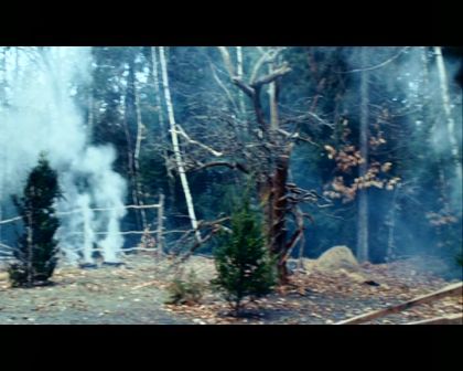 PDVD_185.jpg