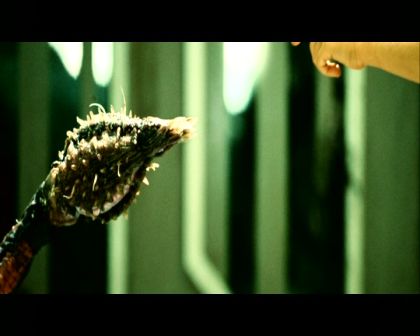 PDVD_2054.jpg
