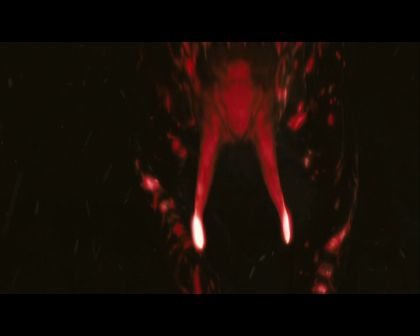 PDVD_2300.jpg