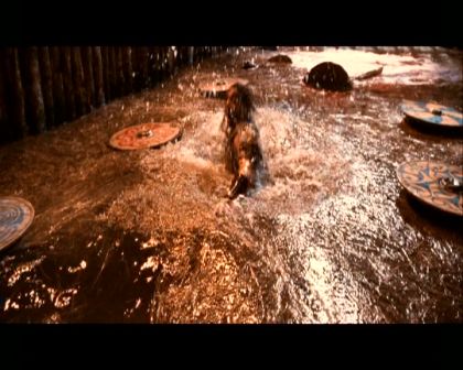 PDVD_2391.jpg