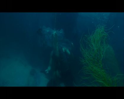 PDVD_2700.jpg