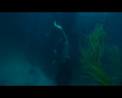 PDVD_2701.jpg