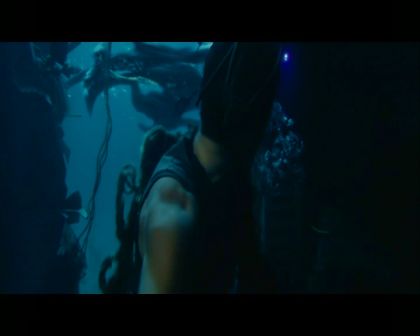 PDVD_2704.jpg