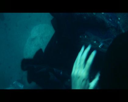 PDVD_2715.jpg