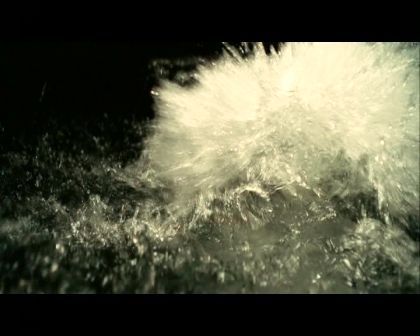 PDVD_2785.jpg