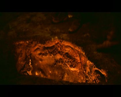 PDVD_2962.jpg