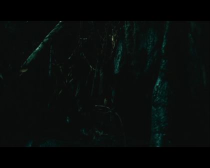 PDVD_3007.jpg