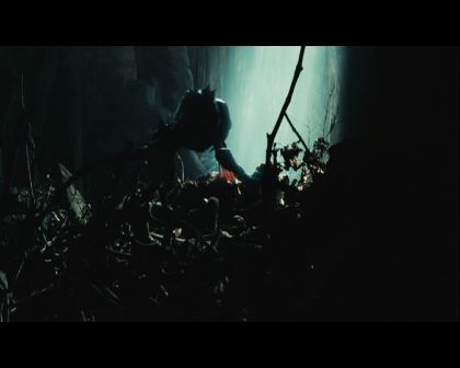 PDVD_3011.jpg