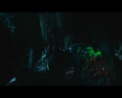 PDVD_3091.jpg