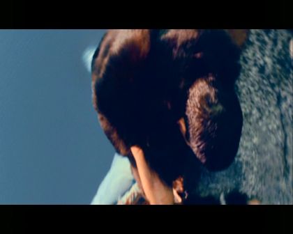 PDVD_3325.jpg