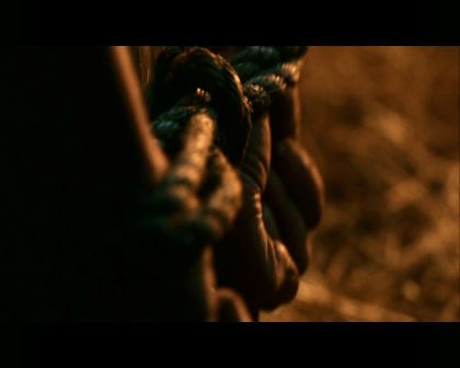 PDVD_400.jpg