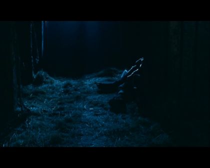 PDVD_591.jpg