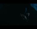 PDVD_1354