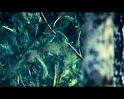 PDVD_146