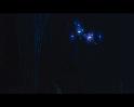 PDVD_1722