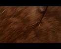 PDVD_1797