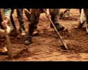 PDVD_1809
