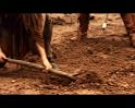 PDVD_1810