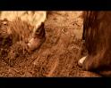 PDVD_1811