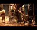 PDVD_1812