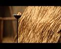 PDVD_1825