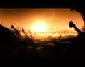 PDVD_2010