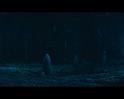 PDVD_2195