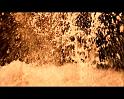 PDVD_2382