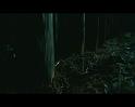 PDVD_2385